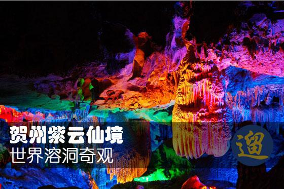 探索科技知识,加入会计证遗失刚巧要换新证如何办理星球平台吧!