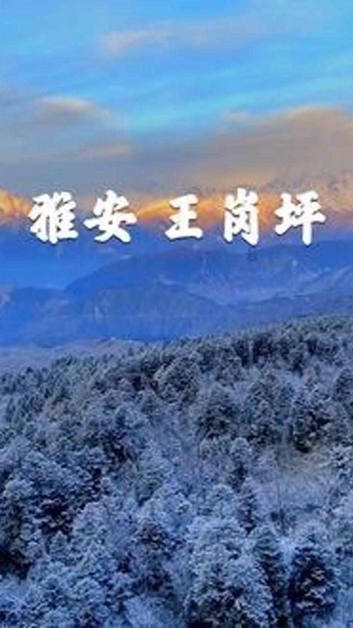 我是1999年农历正月25日天刚亮出生的男,请大师给我看一下命好不好?-最新最全的我是1999年农历正月25日天刚亮出生的男,请大师给我看一下命好不好?资讯平台