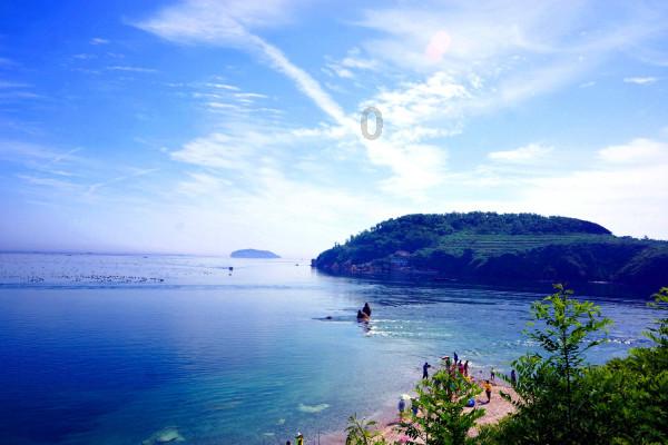 牛油果面包